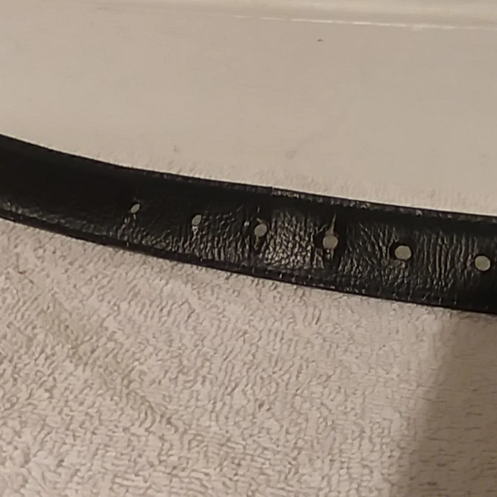 Levis Belt